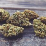 cbd flower online